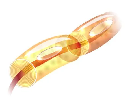 Neuron myelin sheath Stock Illustration
