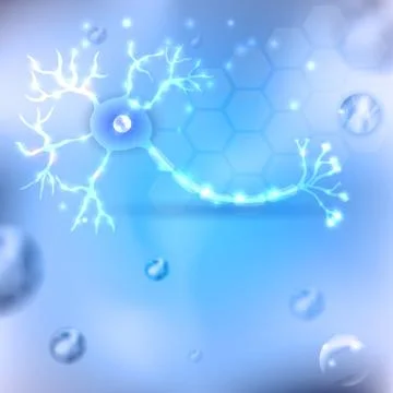 Neuron, nerve cell anatomy Stock Illustration