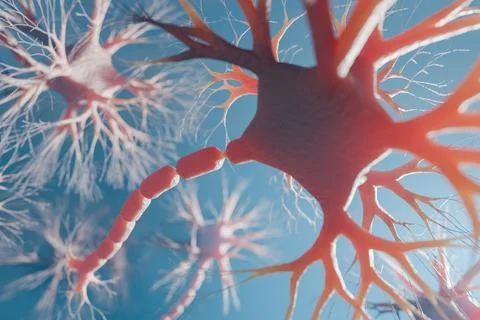 Neuron (nerve cell) of human brain with synapses. Neurology concept. 3D ren.. Stock Illustration