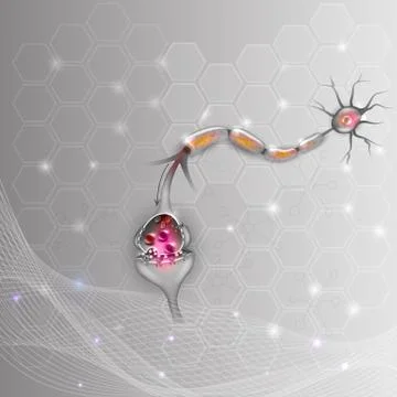 Neuron, nerve cell Illustrazione stock