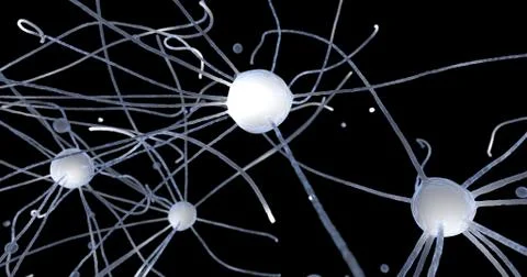 Neuron. Nerve cell. Neural Network 库存插图
