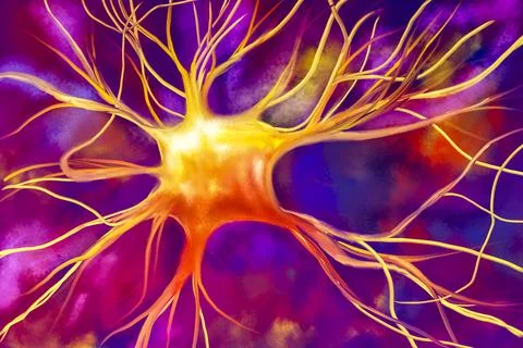 Neuron, nerve cell, scientific computer illustration in hand drawing style 스톡 일러스트