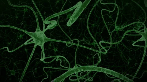 Neuron Network communicating Stock Footage 602673