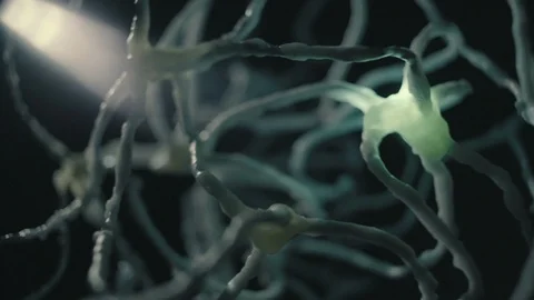 Neuron network flashing real cells neural system Stock Footage 104189134