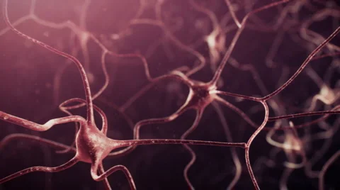 Neuron network Video stock 910395