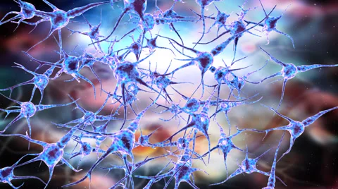 Neuron network. Stock Footage 58797688
