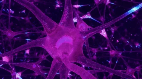 Neuron network 動画素材 79753605