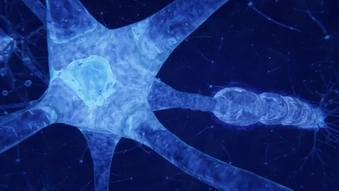 Neuron network Stock Footage 83170585