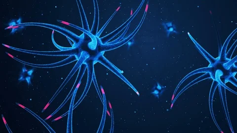Neuron Network Stock Footage 103192406