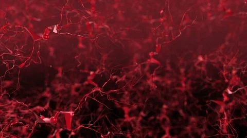 Neuron Network Stock Footage 125164891