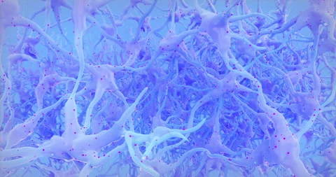 Neuron network. Video stock 247528384