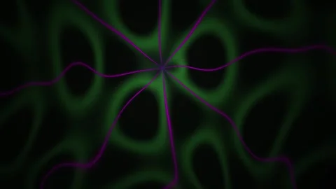 Neuron Network Visualization. Stock Footage 336254394