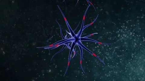 Neuron network.Brain Cells Blue Stock Footage 71774142