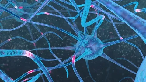 Neuron network.Brain Cells Blue Stock Footage