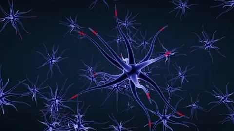 Neuron network.Brain Cells Blue Stock Footage 71802920