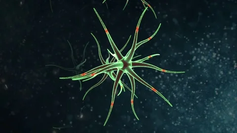 Neuron network.Brain Cells Green Stock Footage 71774394