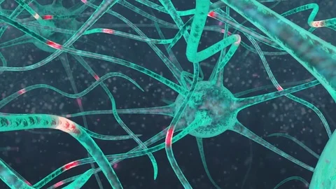 Neuron network.Brain Cells Green Stock Footage 71776134
