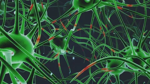Neuron network.Brain Cells Green Stock Footage 85435965