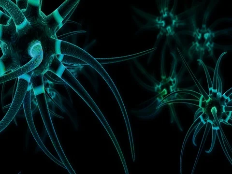 Neuron-to-neuron transmission Stock Footage 77604801