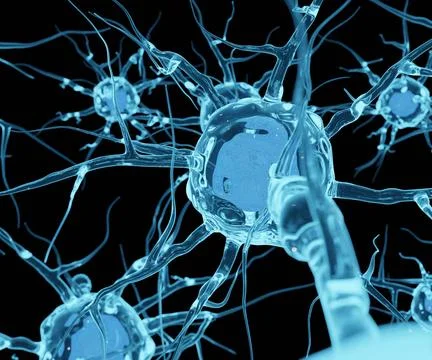 Neuron or nerve cells are communicating with each other イラスト素材