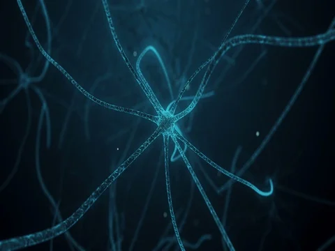 Neuron in process of synapse in neuron cell of neuronal human tissue Stock Footage 78631075
