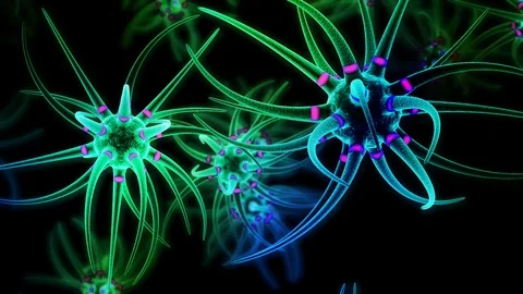Neuron receiving and transmitting an impulse. Stock Footage 114890685