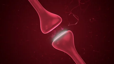 Neuron Receptor and synapse activity Stock Footage 248120314