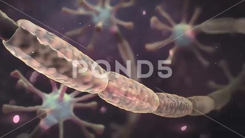 Neuron research exploding degenerating neuron nervous system research ...