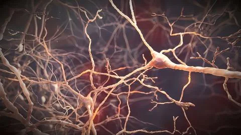 Neuron signals in the brain Illustrazione stock