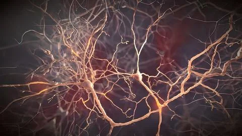 Neuron signals in the brain Stock Illustration