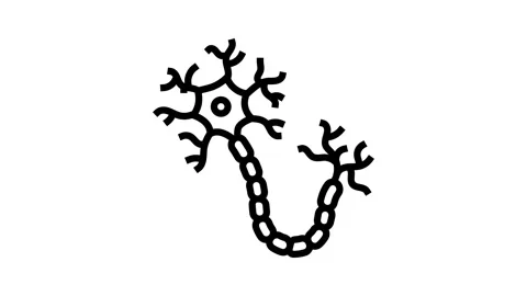 Neuron structure neuroscience neurology line icon animation Stock Footage 326130343