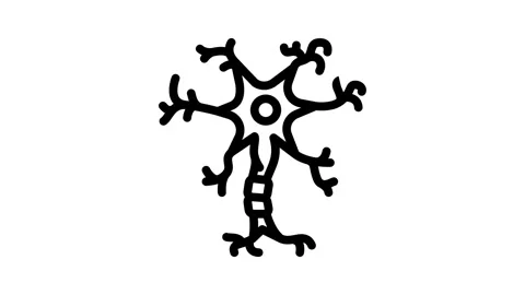 Neuron structure neuroscience neurology line icon animation Stock Footage 326758309
