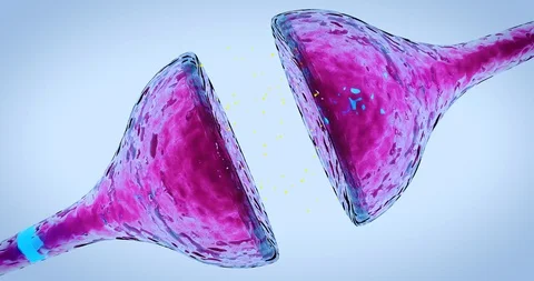Neuron Synapse with chemical transmitters and receptors and electrical impulse Stock Footage 87569738