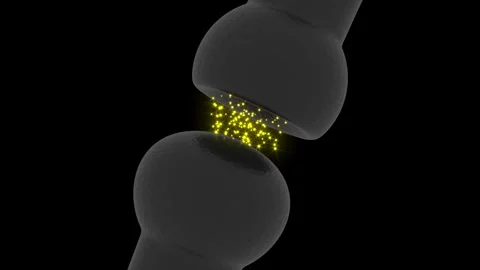 Neuron synapse impulse signals on black bg Stock Footage 323186989