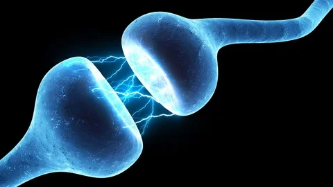 Neuron synapse zoom in Video stock 81659578