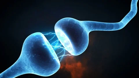 Neuron synapse zoom out Stock Footage 81659917