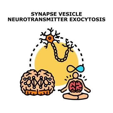 Neuron transmitting signals and brain connectivity concept Illustrazione stock