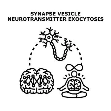 Neuron transmitting signals and brain connectivity concept Stock Illustration