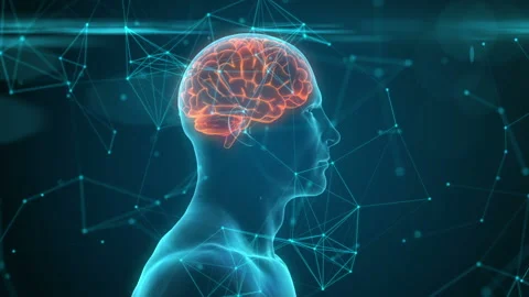 Neuronal Activity. 3d animation of blue conceptual human brain. Vidéo 96220823
