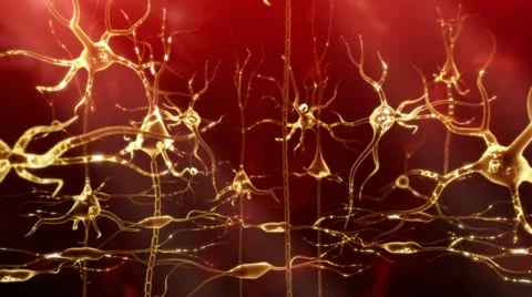 Neuronal Activity Female Red Stock Footage