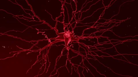 Neuronal Activity Video stock 273235028