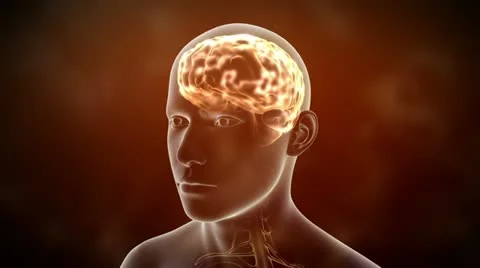 Neuronal Activity Male Red Stock Footage 12451282