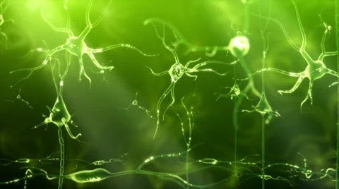 Neuronal Activity Pan Green 库存影片 12381434