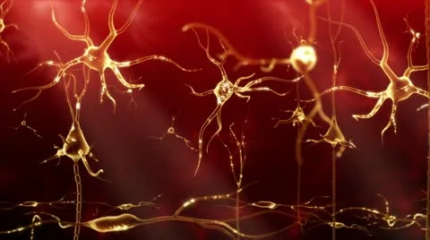 Neuronal Activity Pan Red Stock Footage 11189780