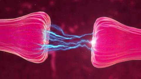Neuronal and Synapse Activity showing neurotransmitters released Stock Footage 159162362