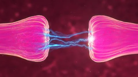 Neuronal and Synapse Activity showing neurotransmitters released Illustrazione stock
