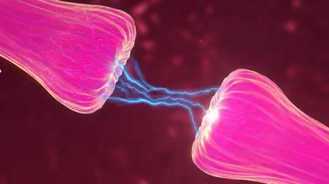 Neuronal and Synapse Activity showing neurotransmitters released イラスト素材