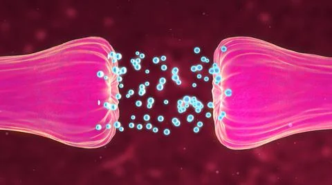 Neuronal and Synapse Activity showing neurotransmitters released Illustrazione stock