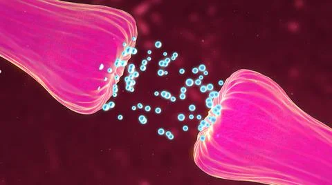 Neuronal and Synapse Activity showing neurotransmitters released イラスト素材