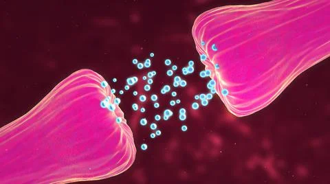 Neuronal and Synapse Activity showing neurotransmitters released イラスト素材